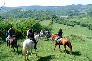 Passeggiate a Cavallo a Rimini